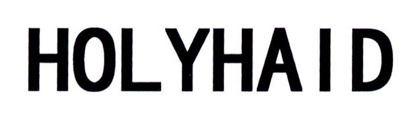 HOLYHAID