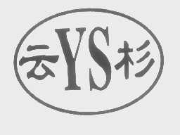云杉