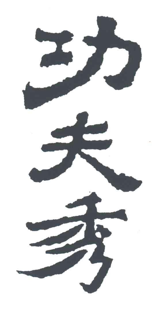功夫秀
