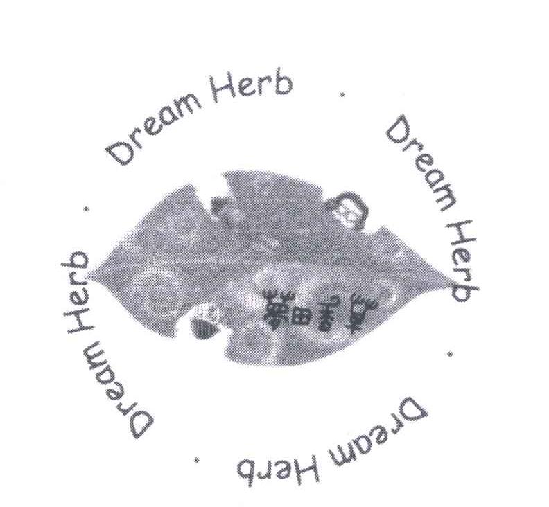 DREAM HERB;梦田香草
