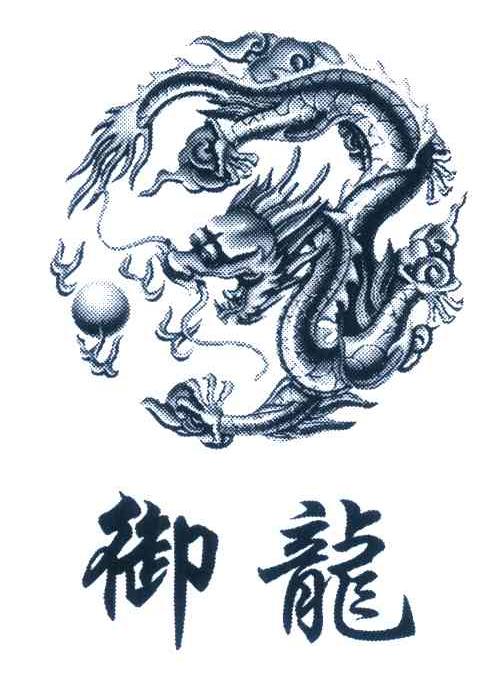 御龙