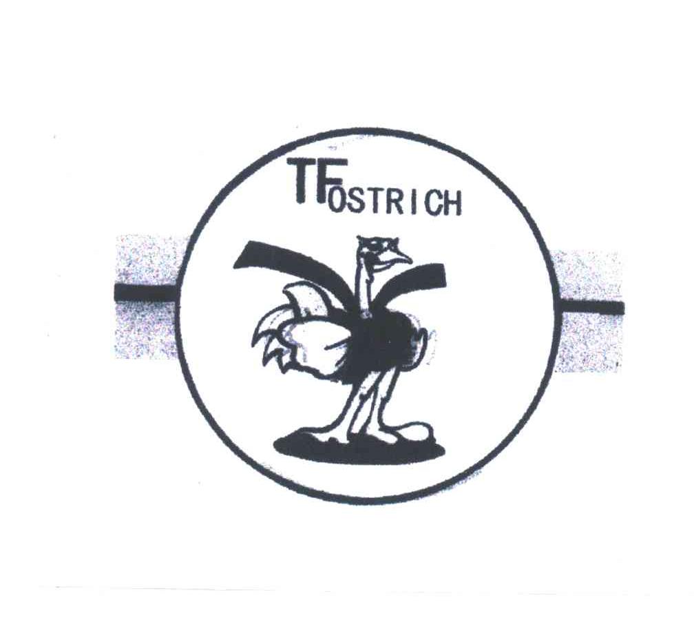TF OSTRICH