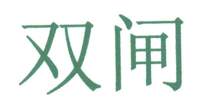 双闸