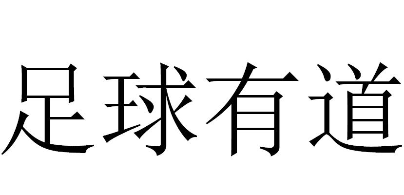足球有道