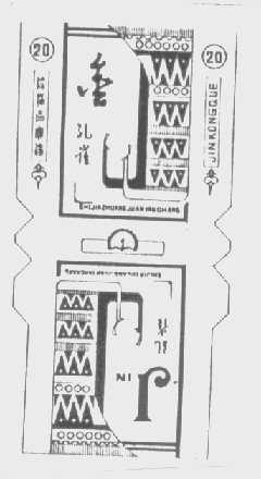 金孔雀