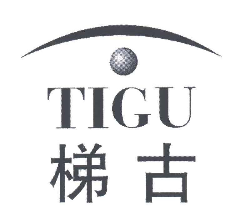 梯古;TIGU