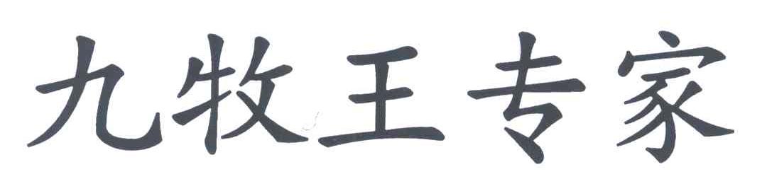 九牧王专家