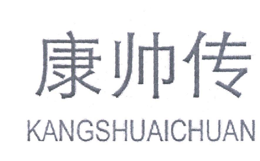 康帅传