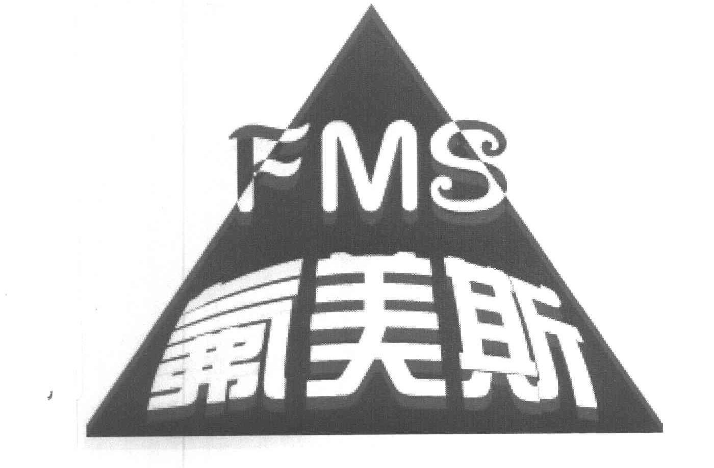 氟美斯 FMS