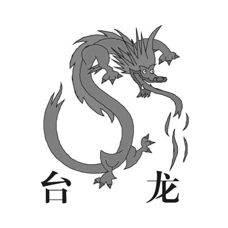 台龙