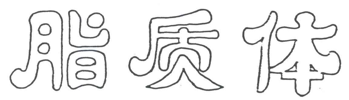 脂质体