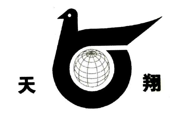 天翔