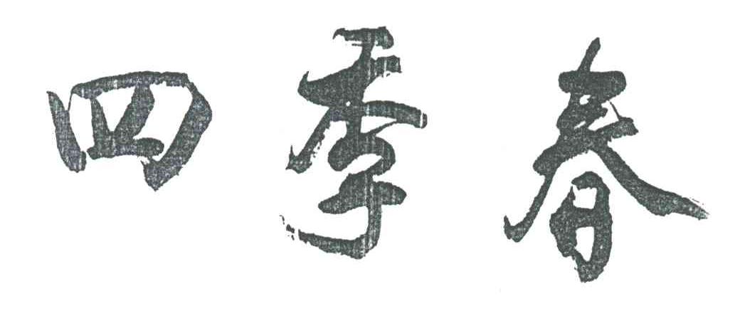 四季春