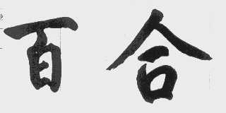 百合