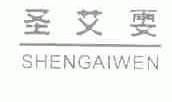 圣艾雯