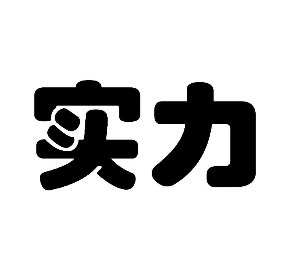 实力