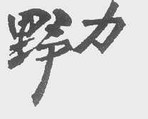 野力