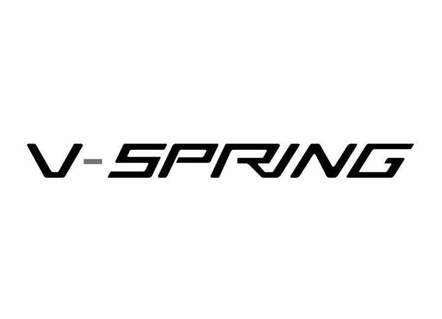 V-SPRING