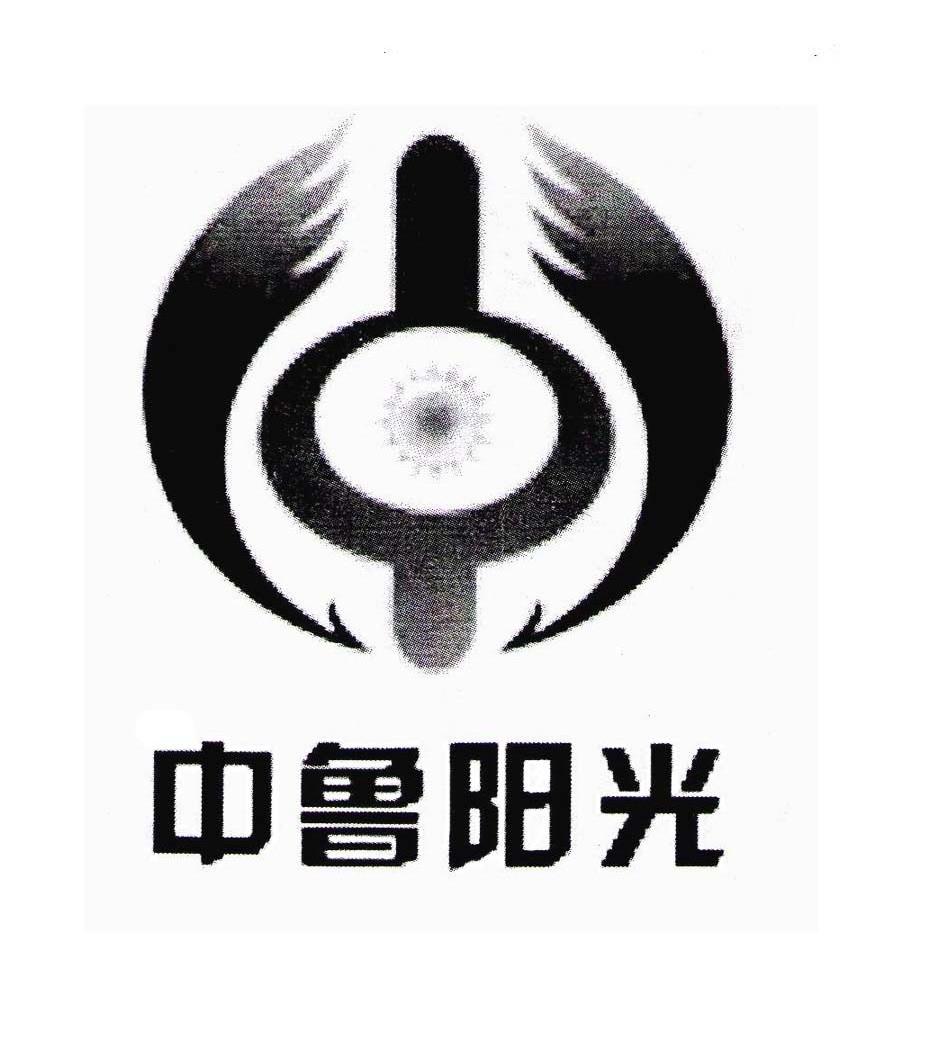 中鲁阳光