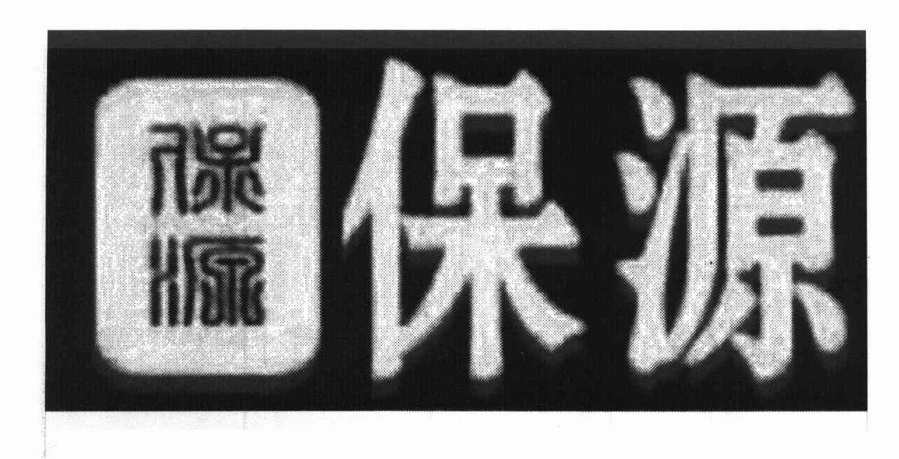 保源