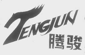 腾骏