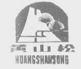 黄山松