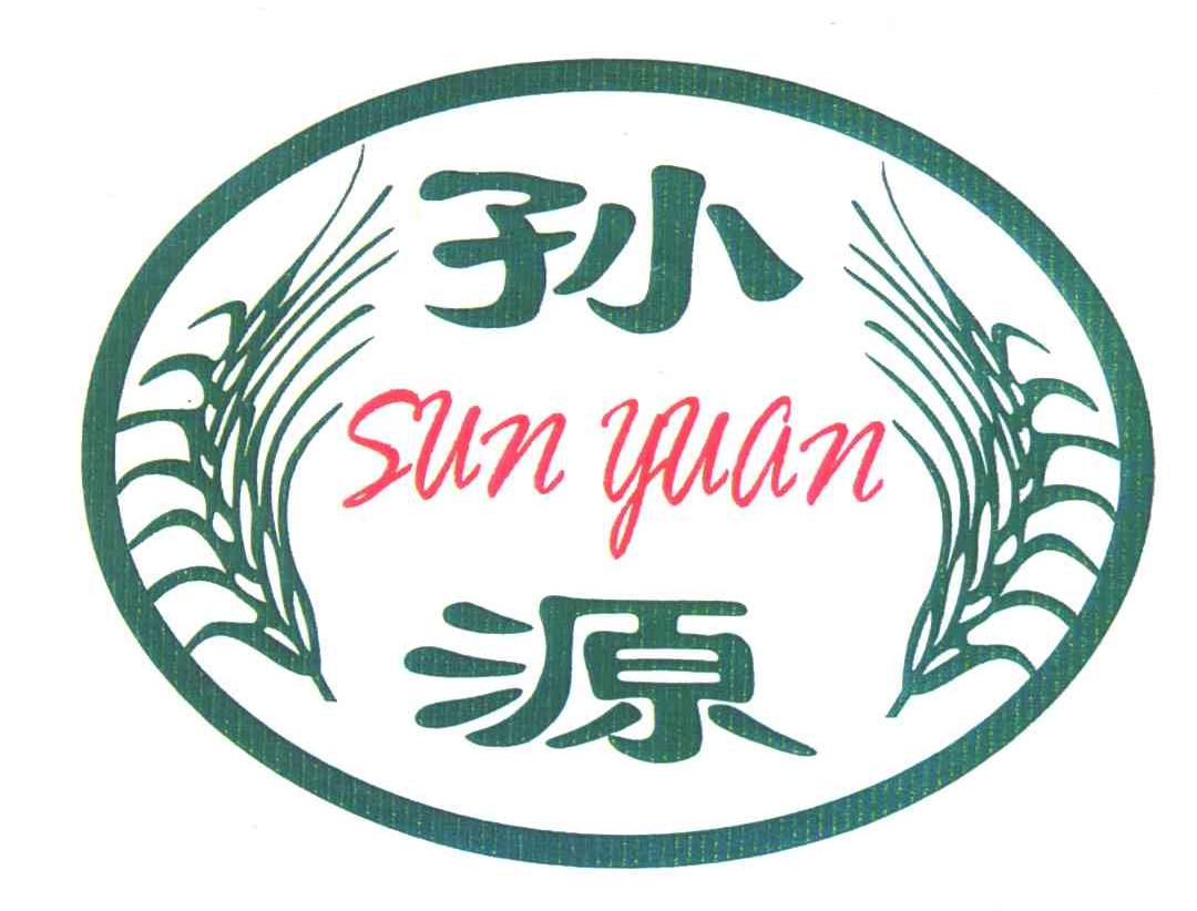 孙源