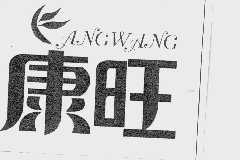 康旺