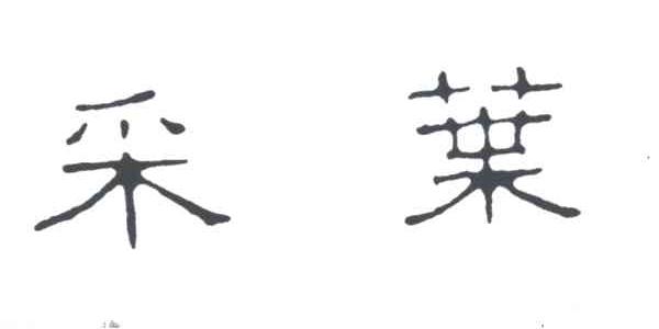 采叶