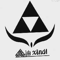 鑫迪