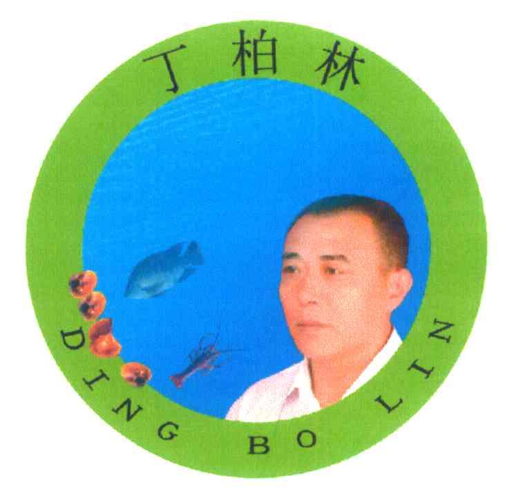 丁柏林