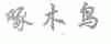 啄木鸟