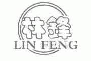 林锋