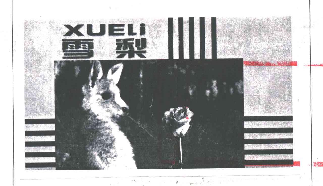 雪梨