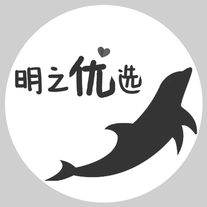 明之优选