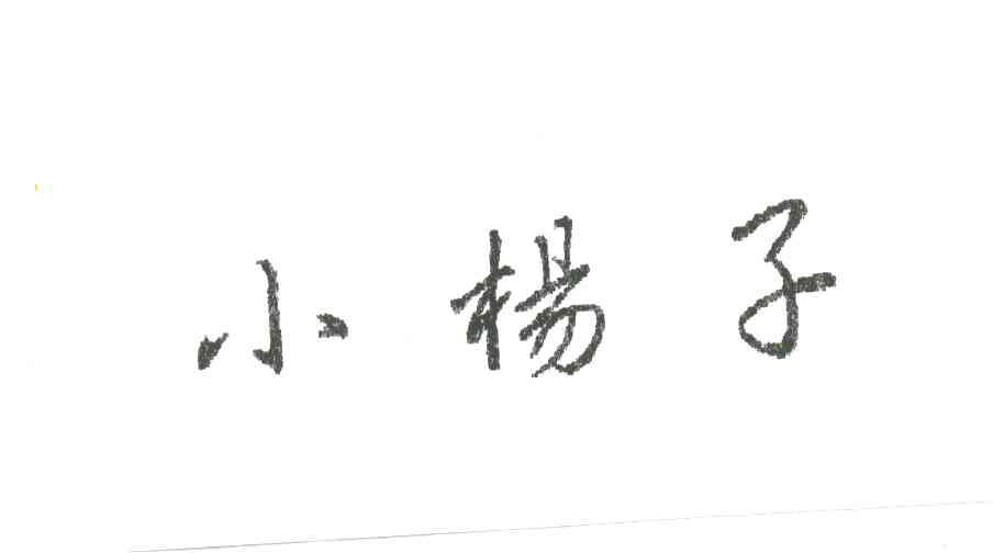 小杨子