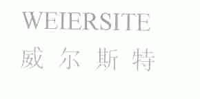 威尔斯特