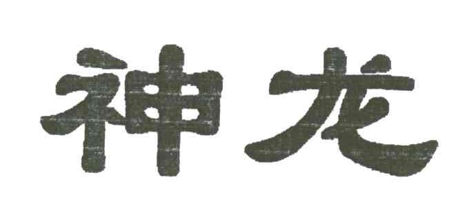神龙