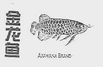 金龙鱼;ARAWANA