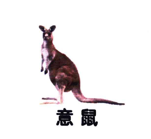 意鼠