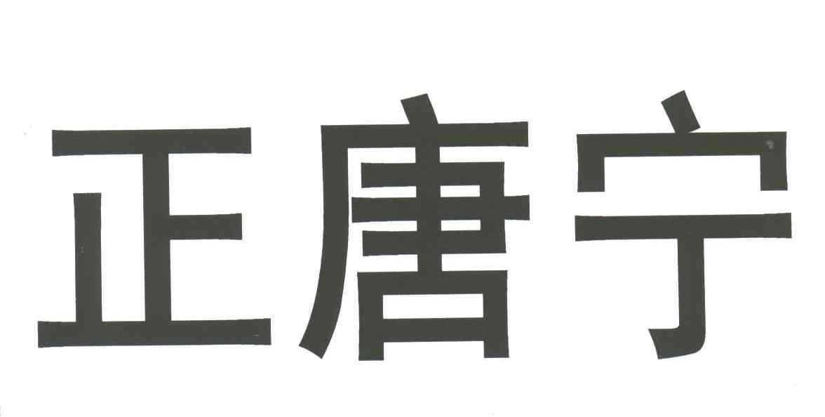 正唐宁