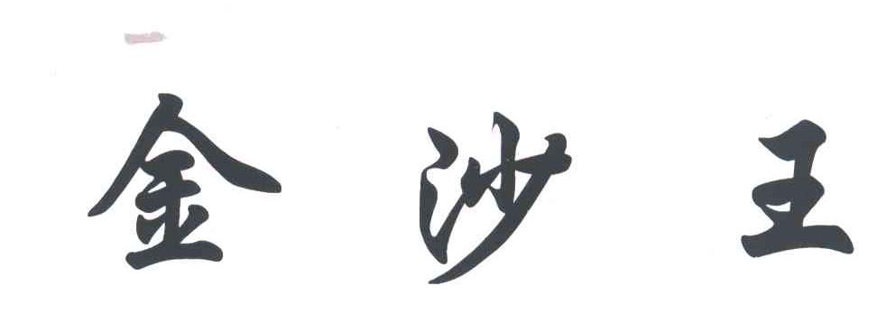 金沙王