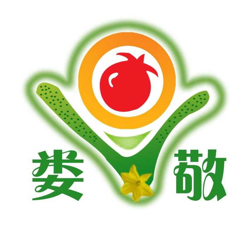 娄敬