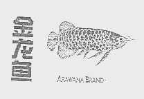 金龙鱼  ARAWANA