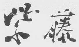 紫藤