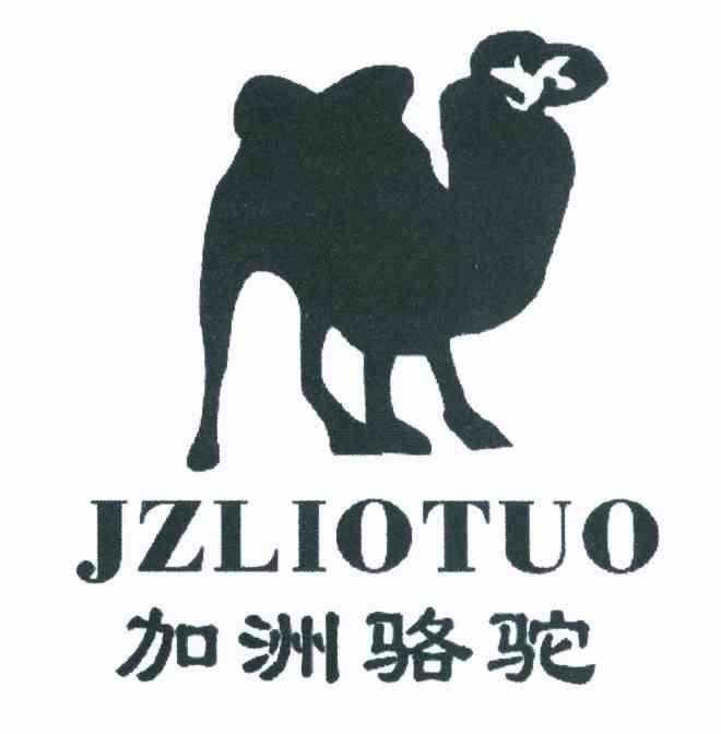 加洲骆驼 JZLIOTUO