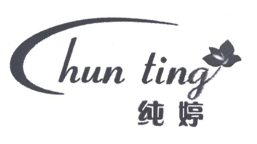 纯婷;HUN TING