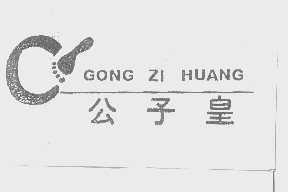 公子皇