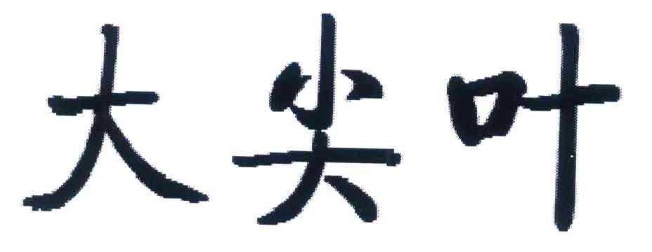 大尖叶