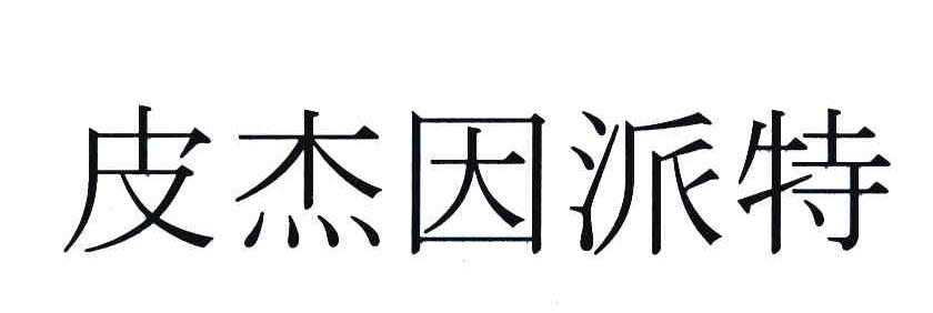皮杰因派特